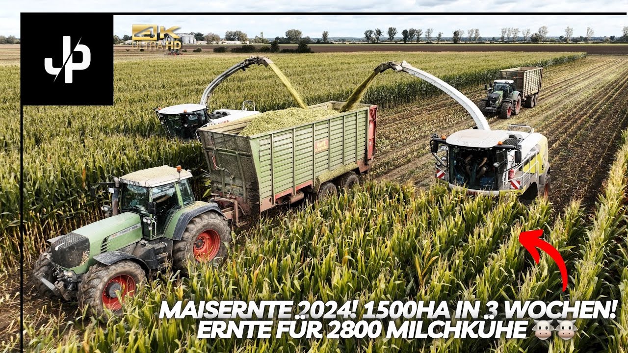 1500ha Mais in 3 Wochen! 🌽 Ernte für 2800 Milchkühe || JP Agrar
