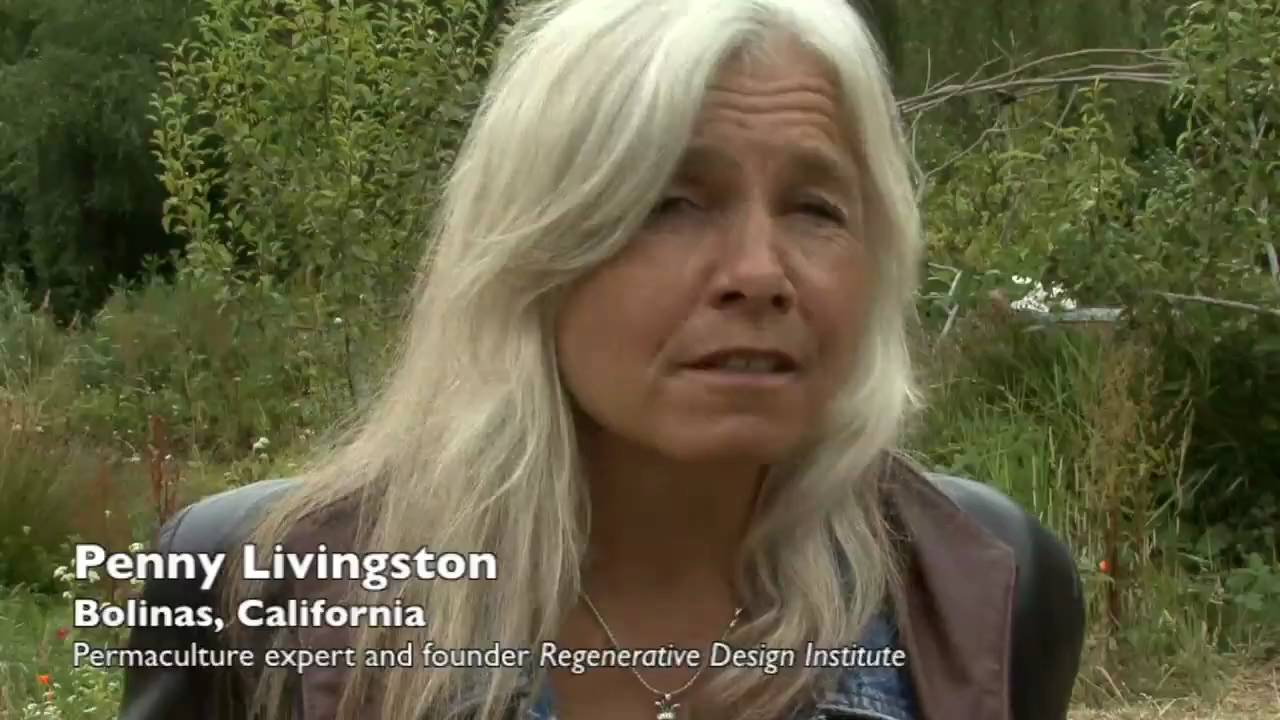 Permaculture 101