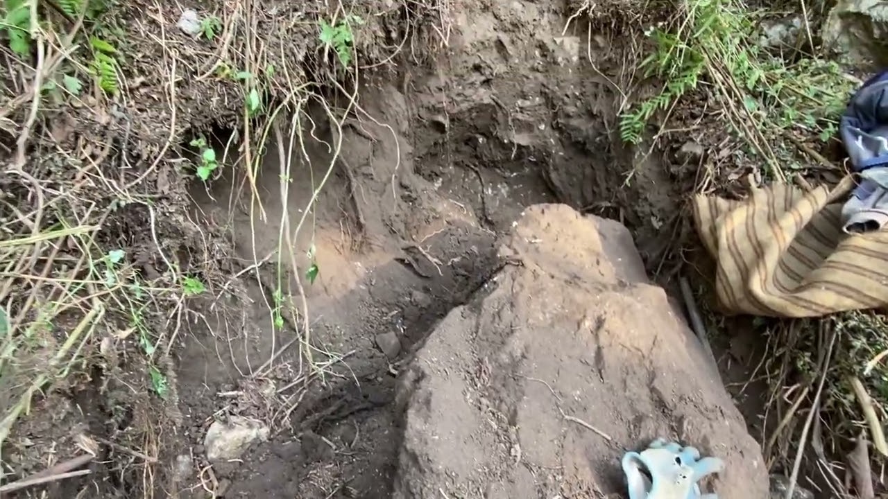 बन तरुल खन्न जादा धन्न ढुङ्गा ले च्यापिएन ।