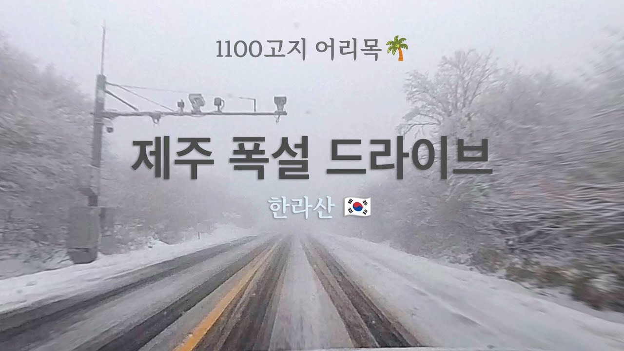 제주폭설 드라이브 (Jeju Island heavy snow) 1100고지, 어리목-어승생삼거리(濟州島大雪)