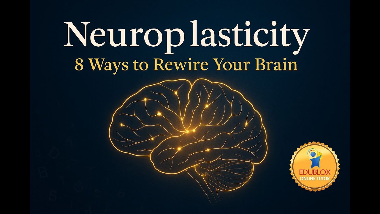 Neuroplasticity: 8 Ways to Rewire Your Brain