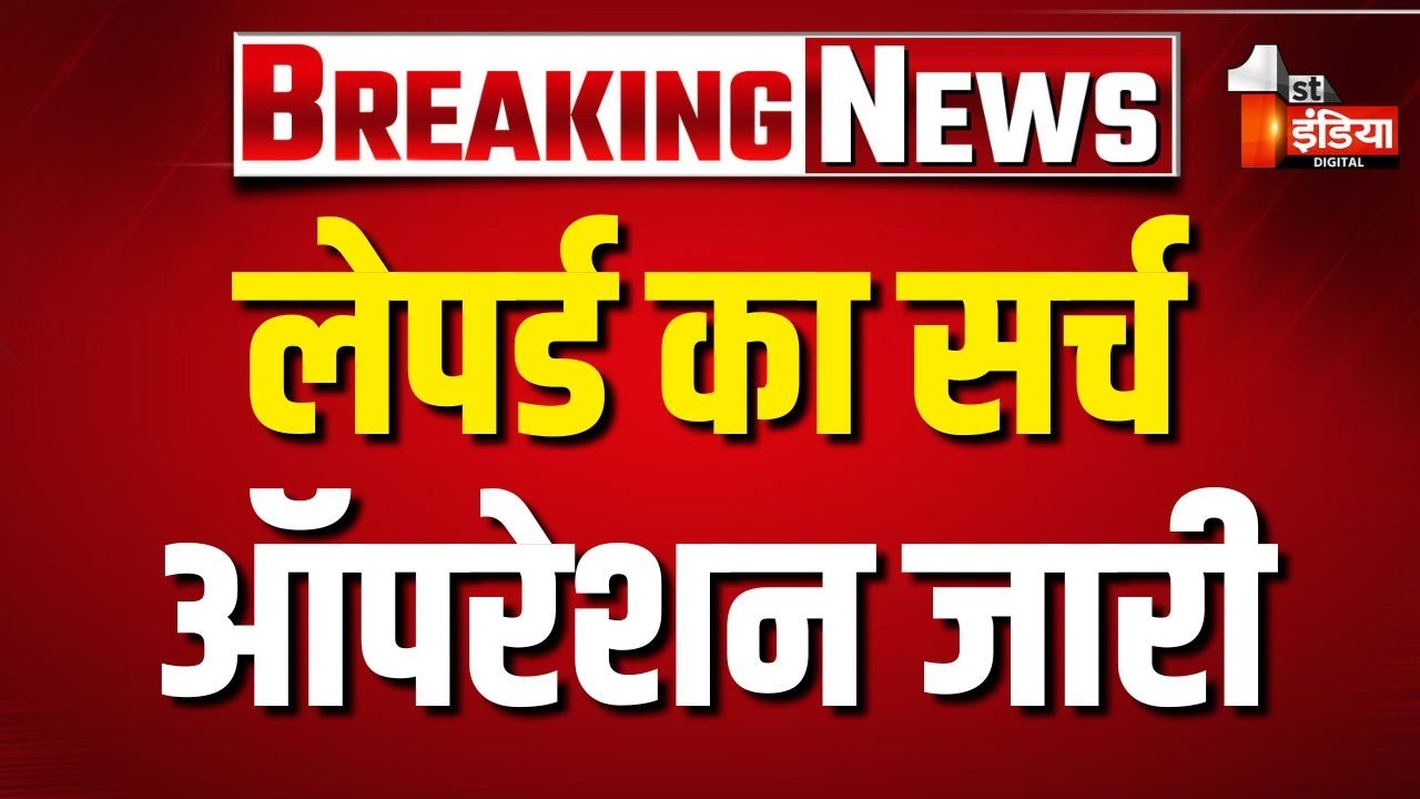 Leopard Movement: लेपर्ड का सर्च ऑपरेशन जारी,वन विभाग की टीम कर रही तलाश Rajasthan Forest Department