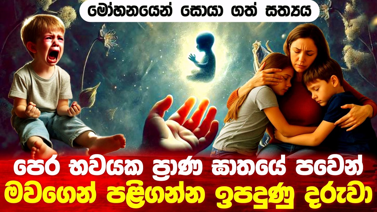 පෙර භවයක ප්‍රාණ ඝාතයේ පවෙන් මවගෙන් පළිගන්න ඉපදුණු දරුවා #buddha #budu_bana #srilanka 