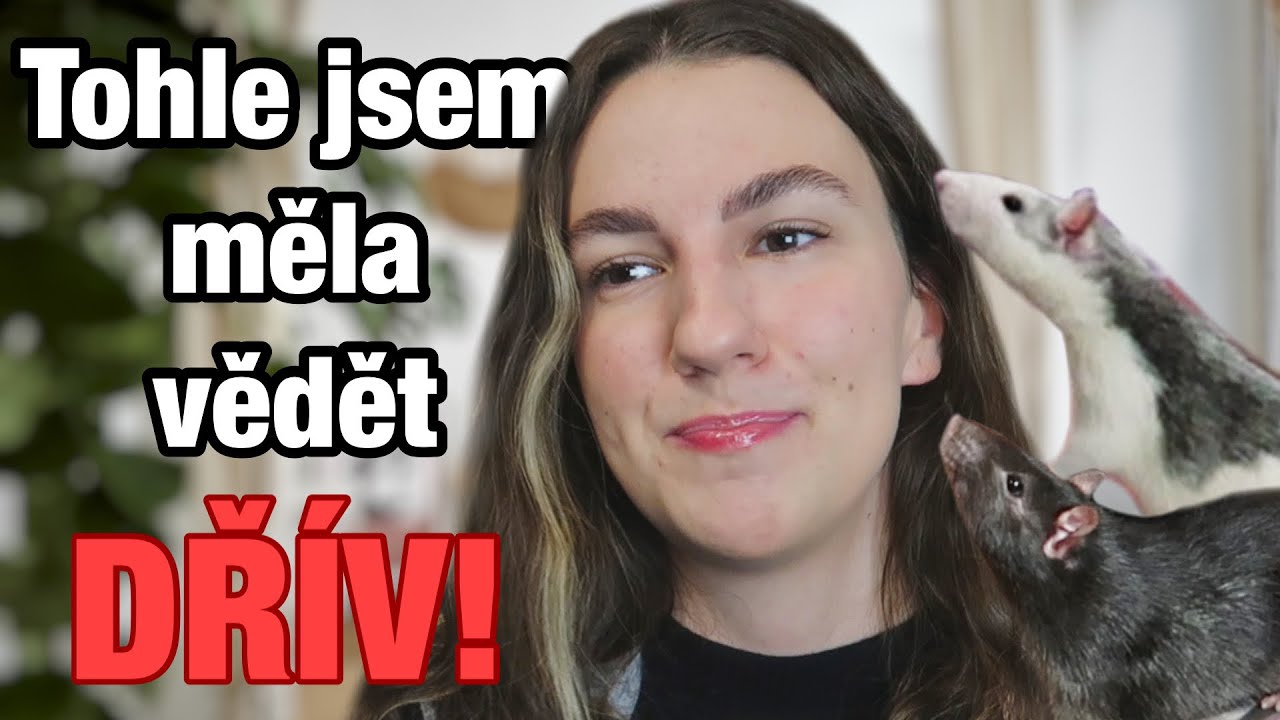 Jak chovat POTKANY? 🐀