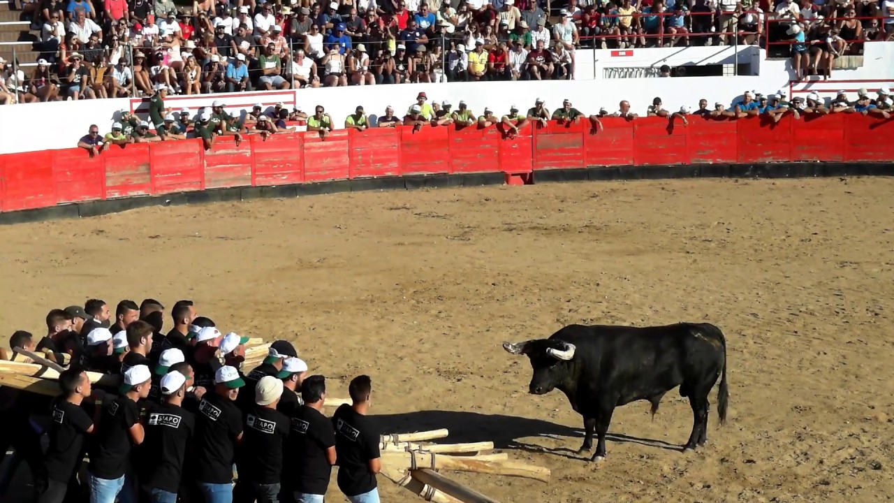 6.&ordm; Soito - 34.&ordm; Festival &lsquo;&Oacute; Forc&atilde;o Rapazes!&rsquo; - Aldeia da Ponte, 16.8.2019 - Capeia Raiana