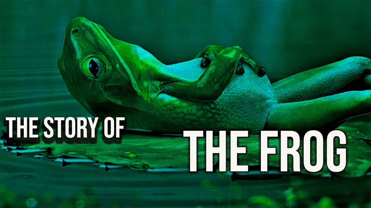 The Story Of The Frog - You Give Up You Die