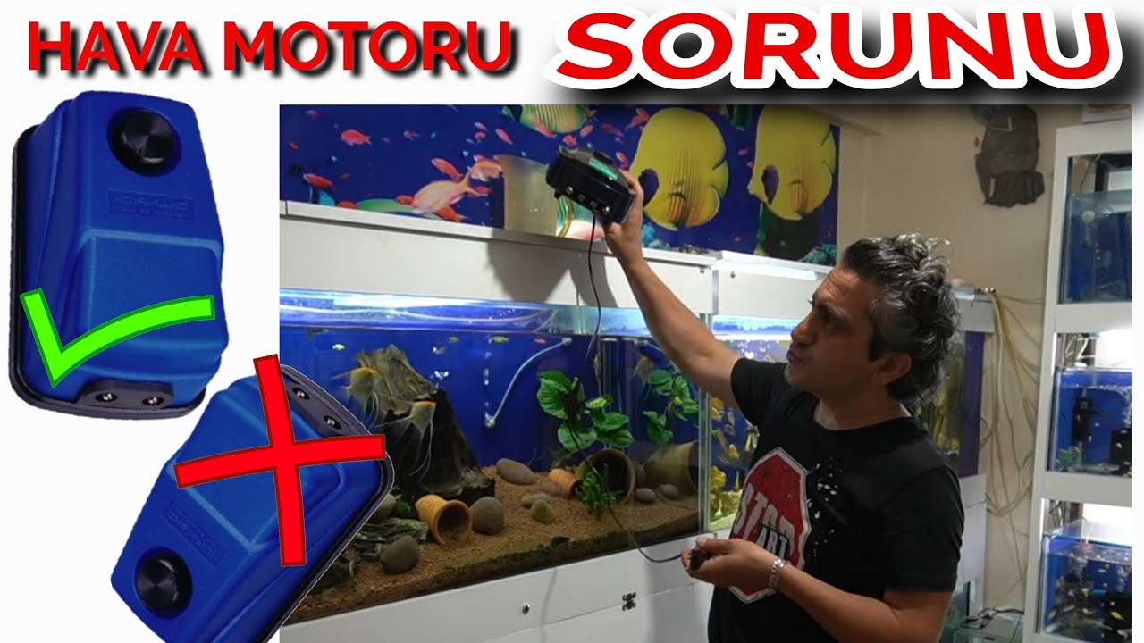 HAVA MOTORUNUZUN ÖMRÜNÜ UZATIN, akvaryum balıkları