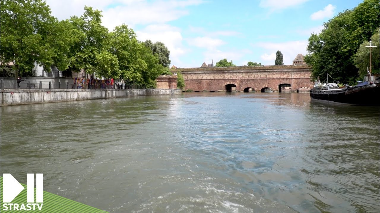 STRASBOURG : Une piscine flottante et des baignades dans l'Ill