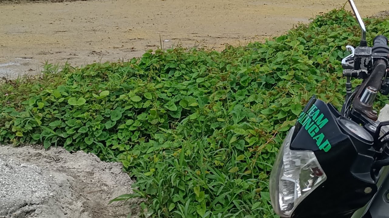 Bukid Tayo Ngayon