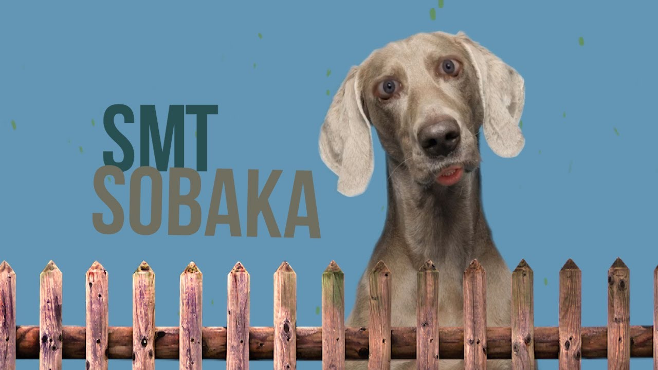 СМТ - SOBAKA  (Lyric video)