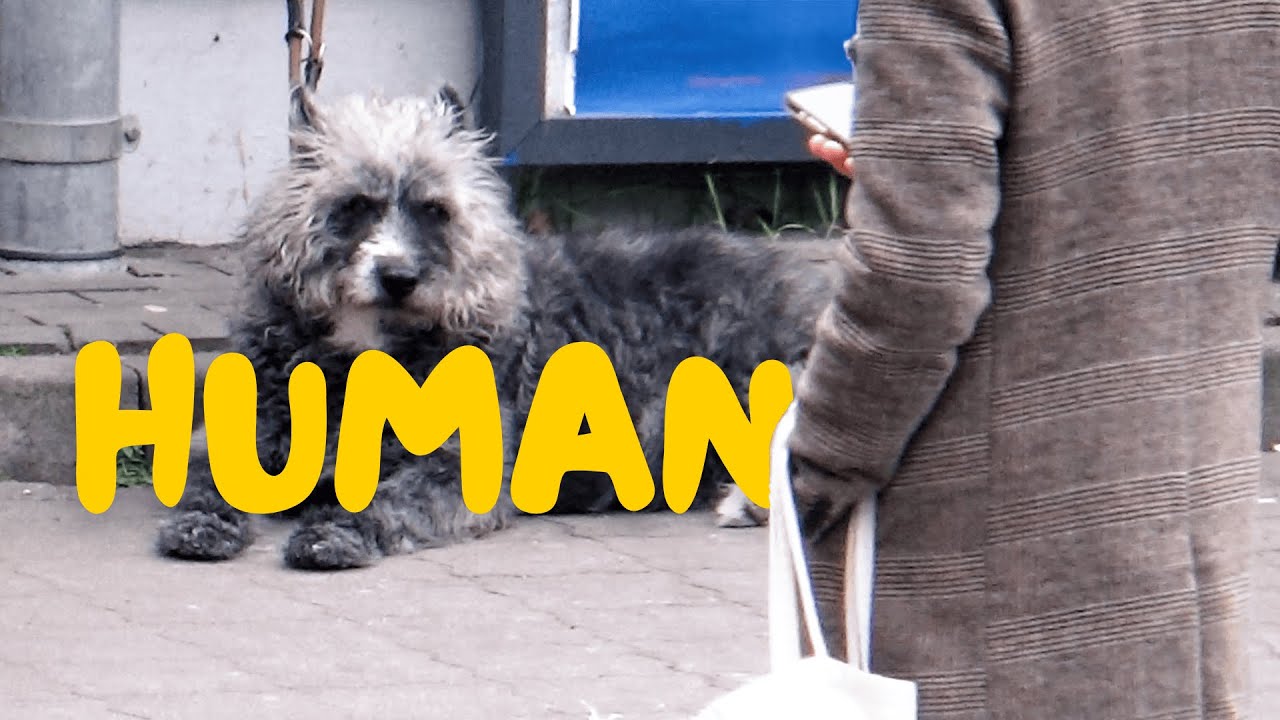 Фёdor. – Human