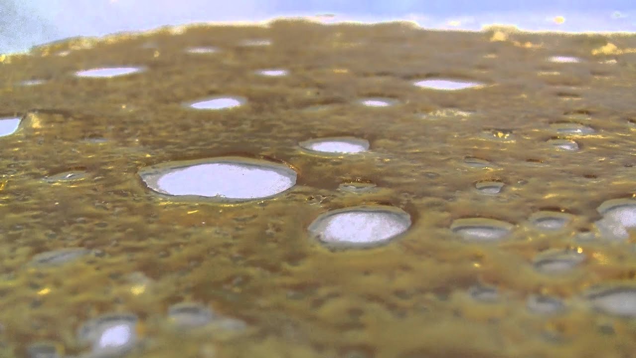 Patient Appreciation Month! Chem 91 + Hindu Skunk (Indoor) Nug Run Shatter