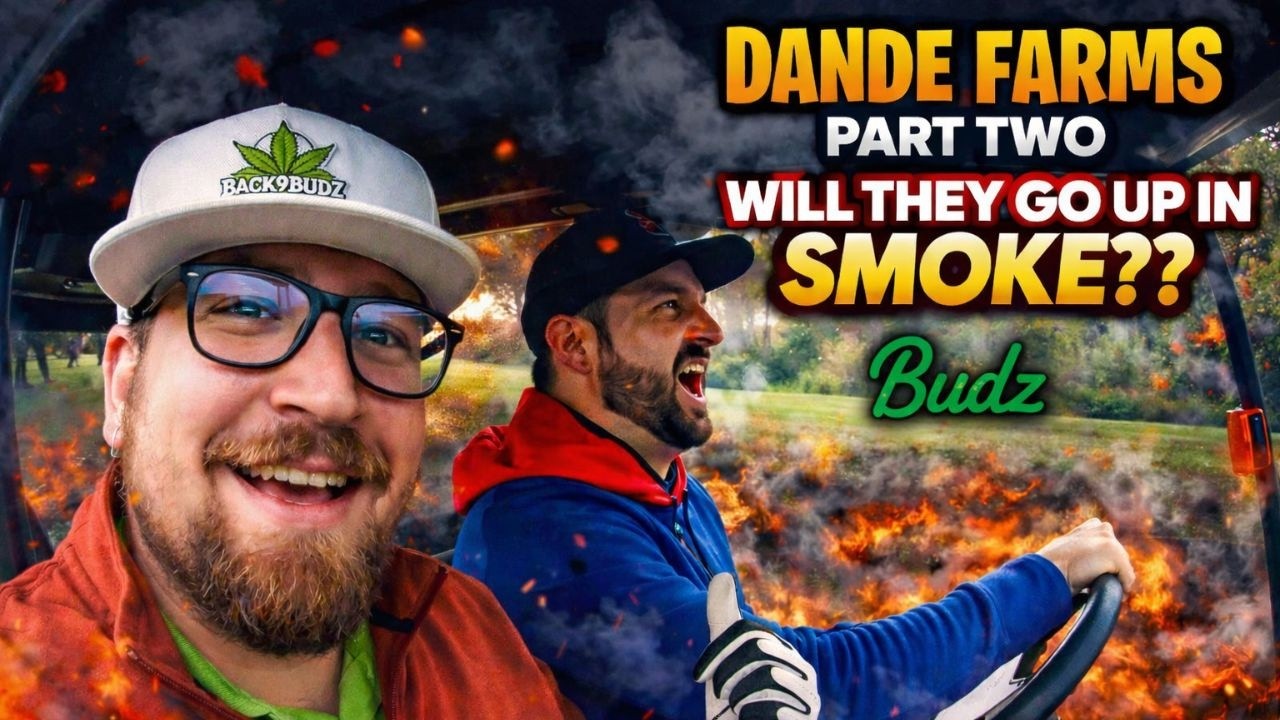 Back 9 | Faded | Dande Farms | WNY Golf