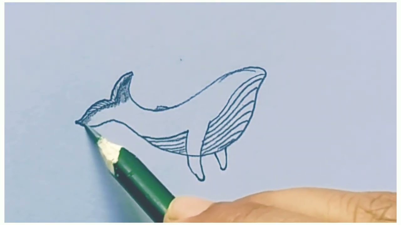 Simple Whale Drawing || fish sketch || #drawing #RBart