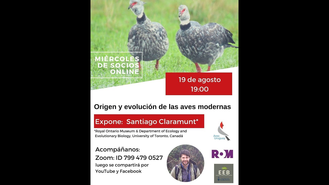 Origen y evolución de las aves modernas