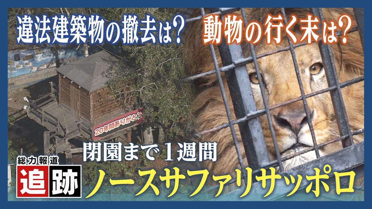 「もう人なしでは生きていけない」閉園まで１週間　動物たちの行く末は…ノースサファリサッポロ