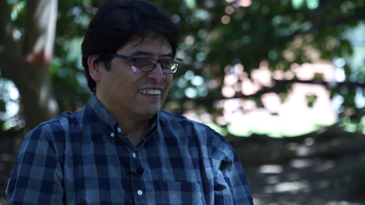 Literacidad, alienación y descolonización (Gregorio Hernández Zamora - grehz)