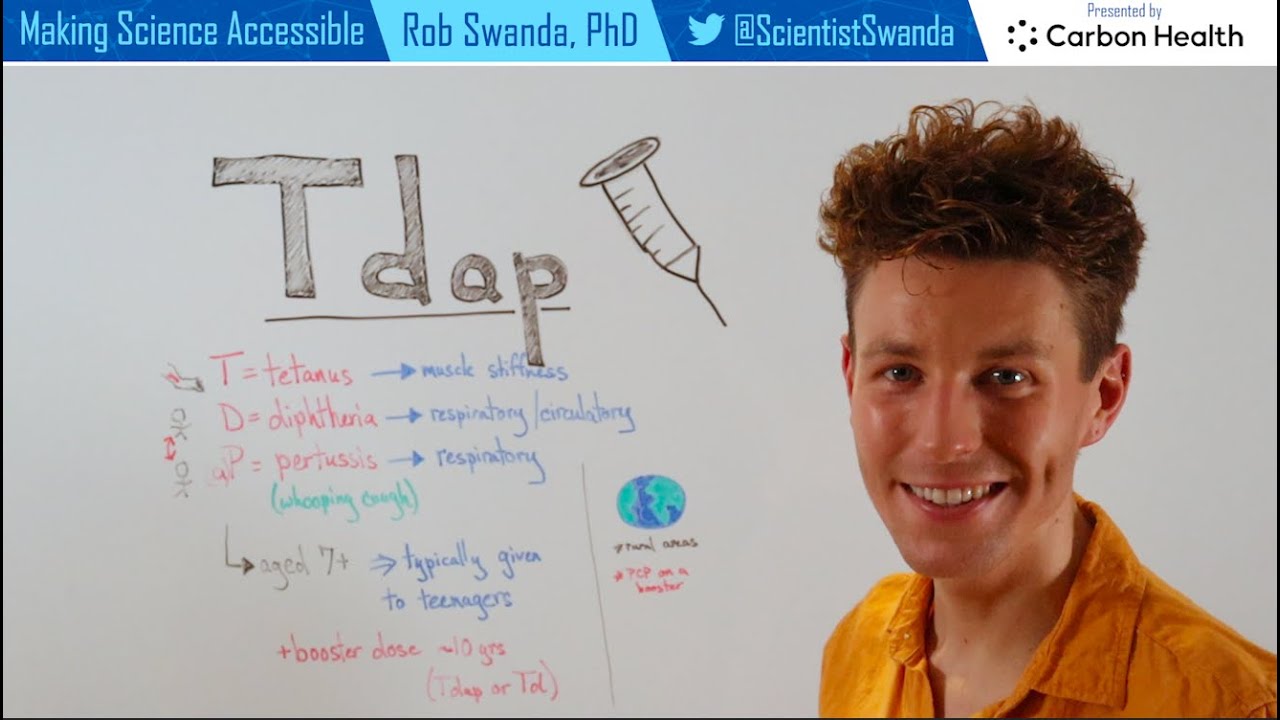 How the Tdap / DTaP Vaccine Works