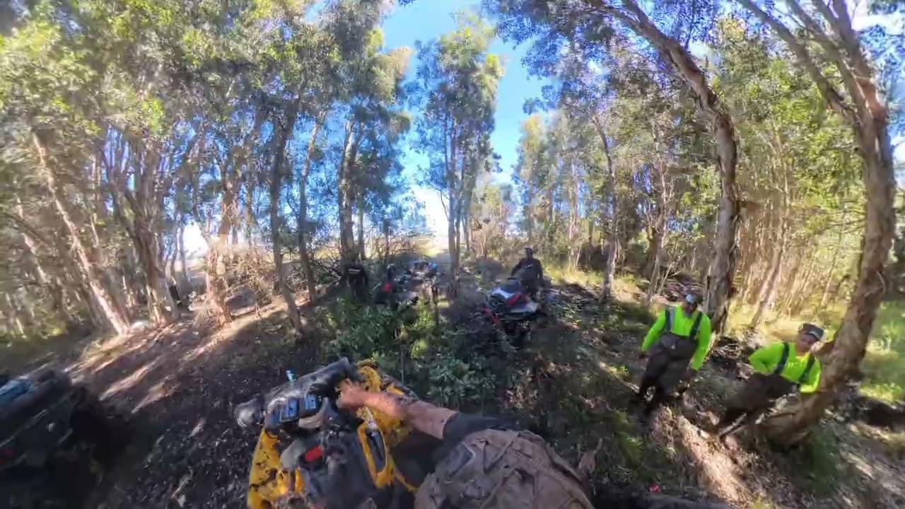 can am vs small tree