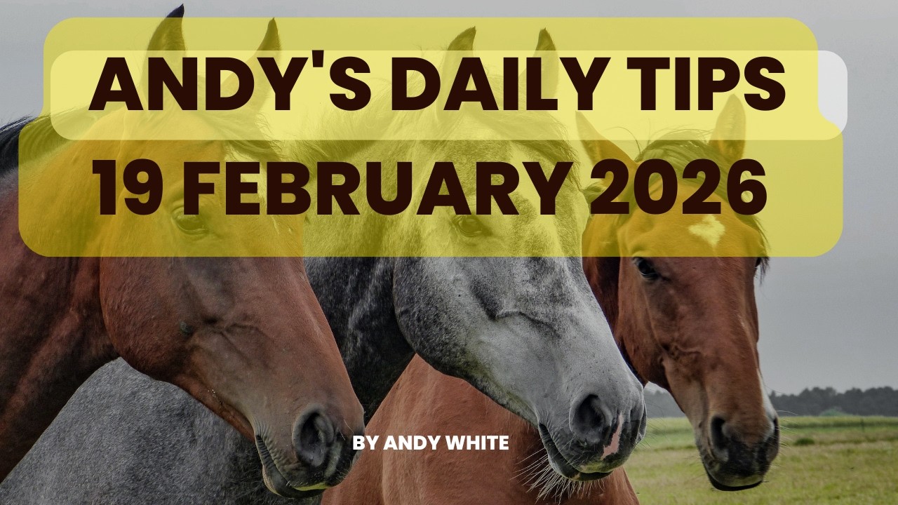 Andy's Daily Tips for Horse Racing, Thursday, 19th February, 2026