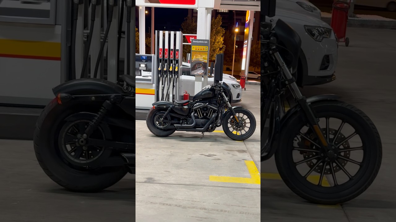 Harley Davidson Iron 883 sound 🔥 #harleydavidson #chopperstyle #harleydavidsonmotorcycles #iron883