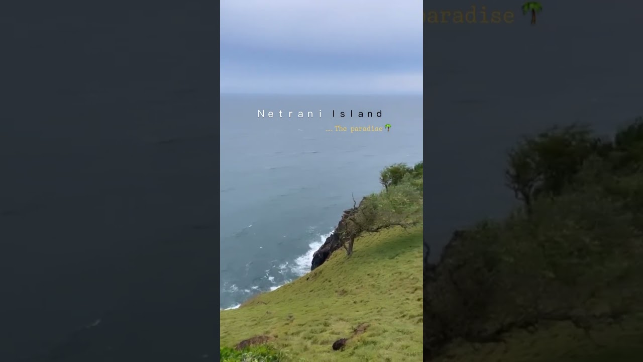 Netrani island 🏝️🥥A heart 💚shaped island at Karnataka #netraniisland #murdeshwar #island #viral