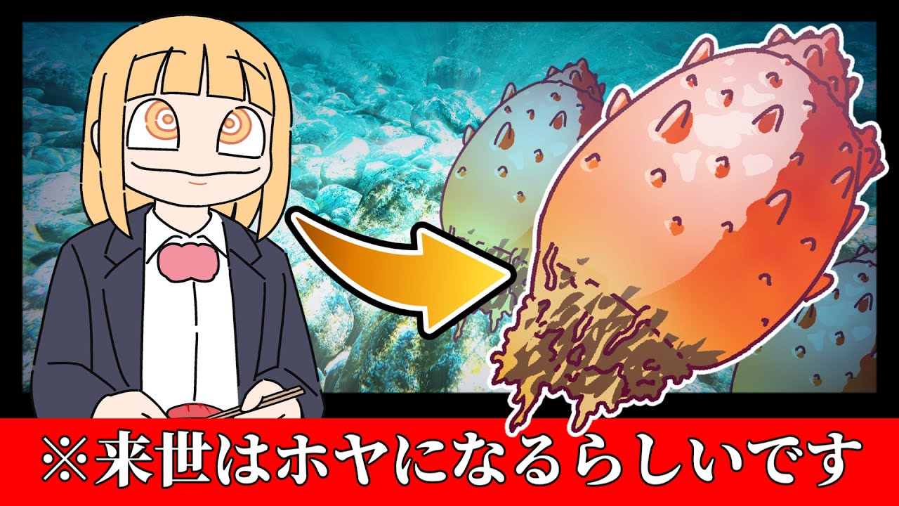 私はホヤと死が怖いです