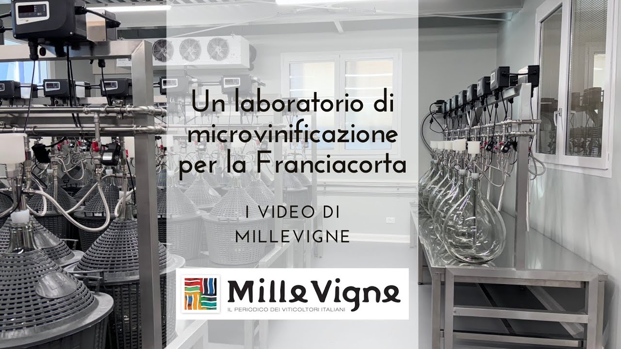 Un laboratorio di microvinificazione in Franciacorta