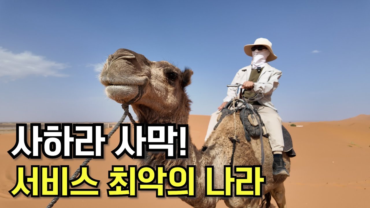 사하라 다시는 못 올 곳, 그래서 더 깊이 남았다. [모로코3편]