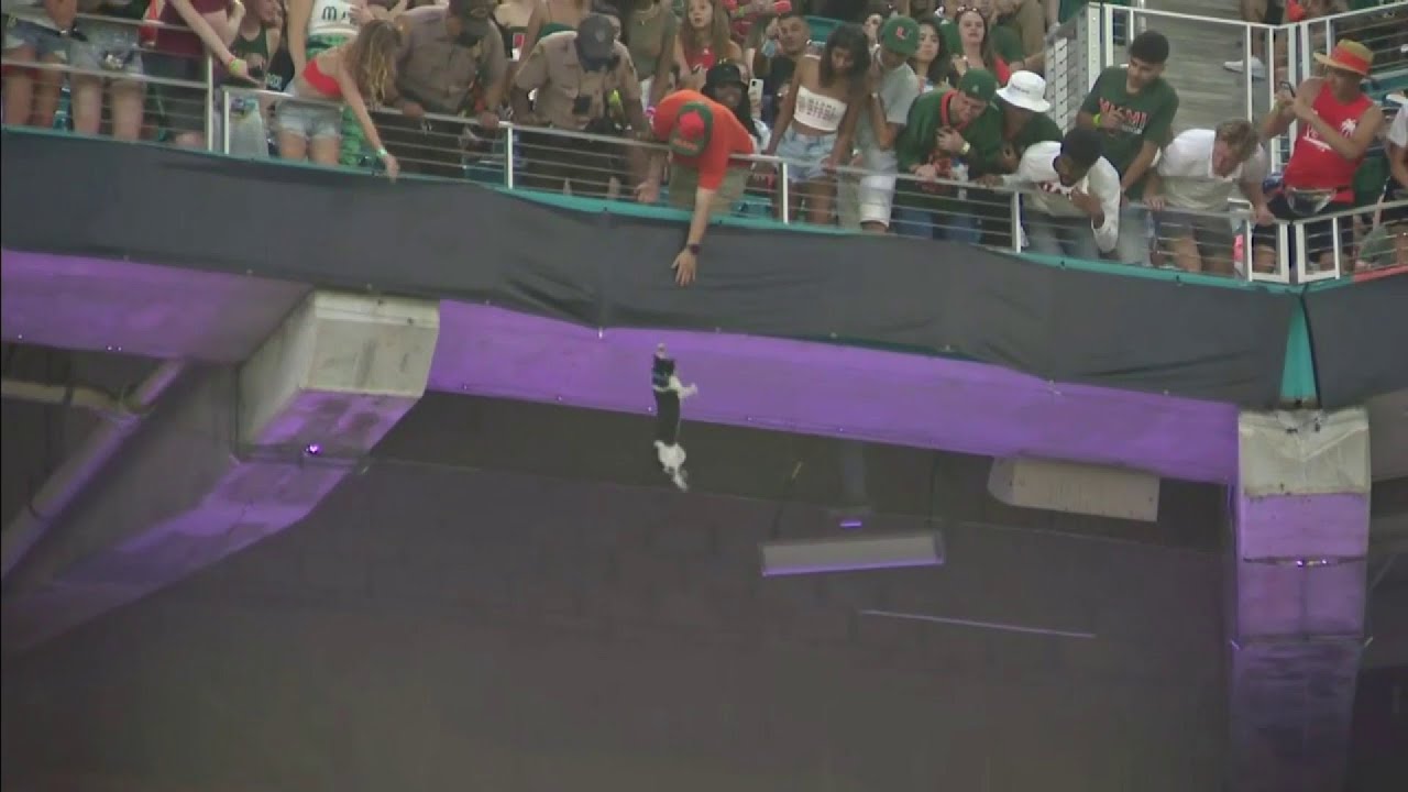 Falling cat caught in American flag at Hard Rock Stadium during Miami game.