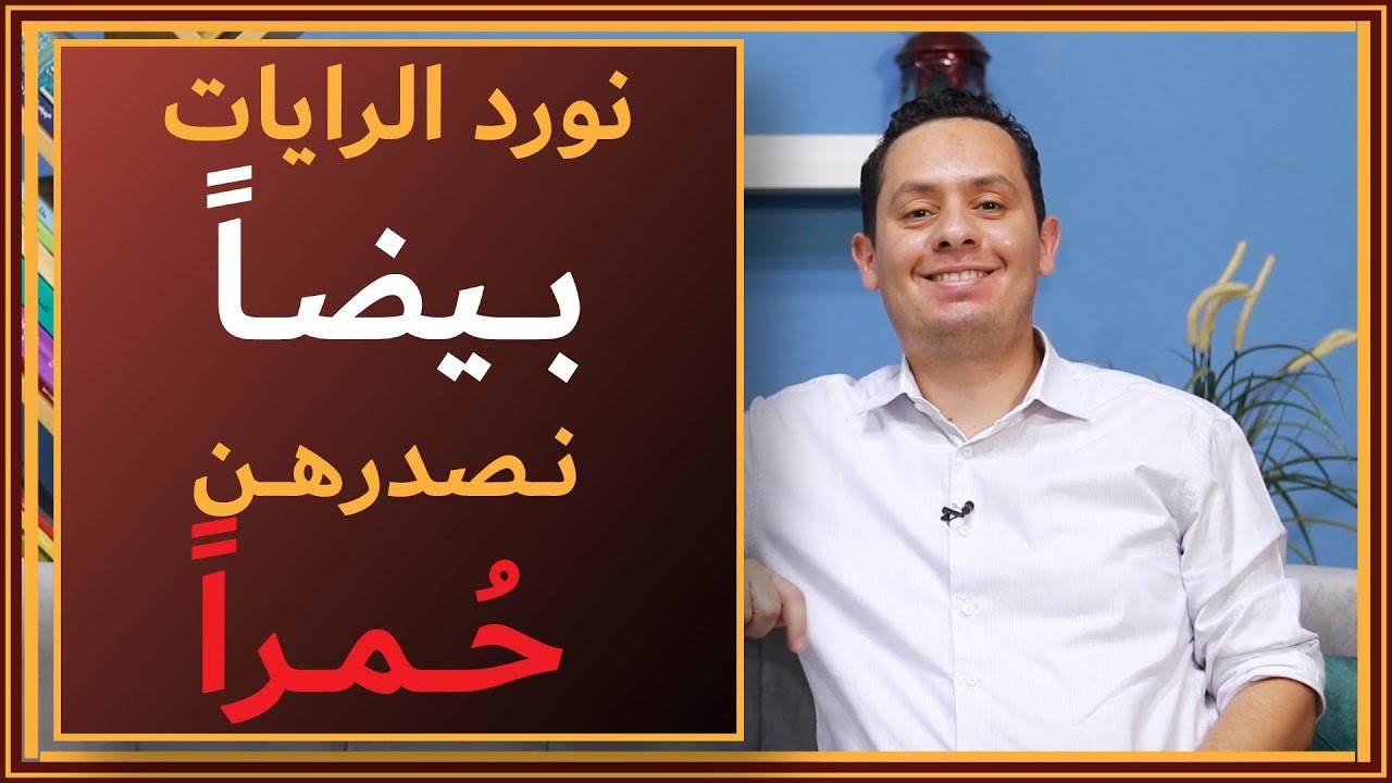 شرح معلقة عمرو بن كلثوم ( 3 ) - أبا هند فلا تعجل علينا - نورد الرايات بيضا، ونصدرهن حمرا