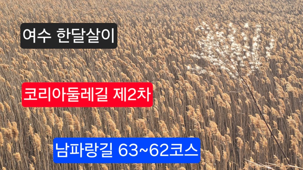 2026.1.28. 남파랑길 63~62코스, 망주리~벌교 부용교~구룡마을#코리아둘레길 #남파랑길 #벌교갈대밭 #벌교꼬막정식 #벌교터미널 #여수한달살기