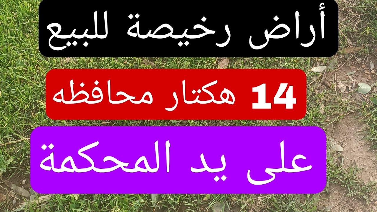 أرض للبيع على طريق محكمة  14 هكتار فيها تمن مزيان 2 بيار سكنى كورا  برقوق طاجين محافظه 0679444657
