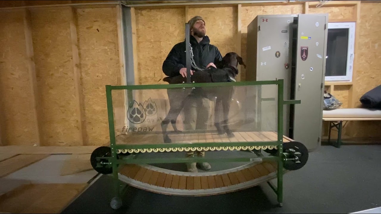 Workout of the week with GSP Ignaz - scent detection