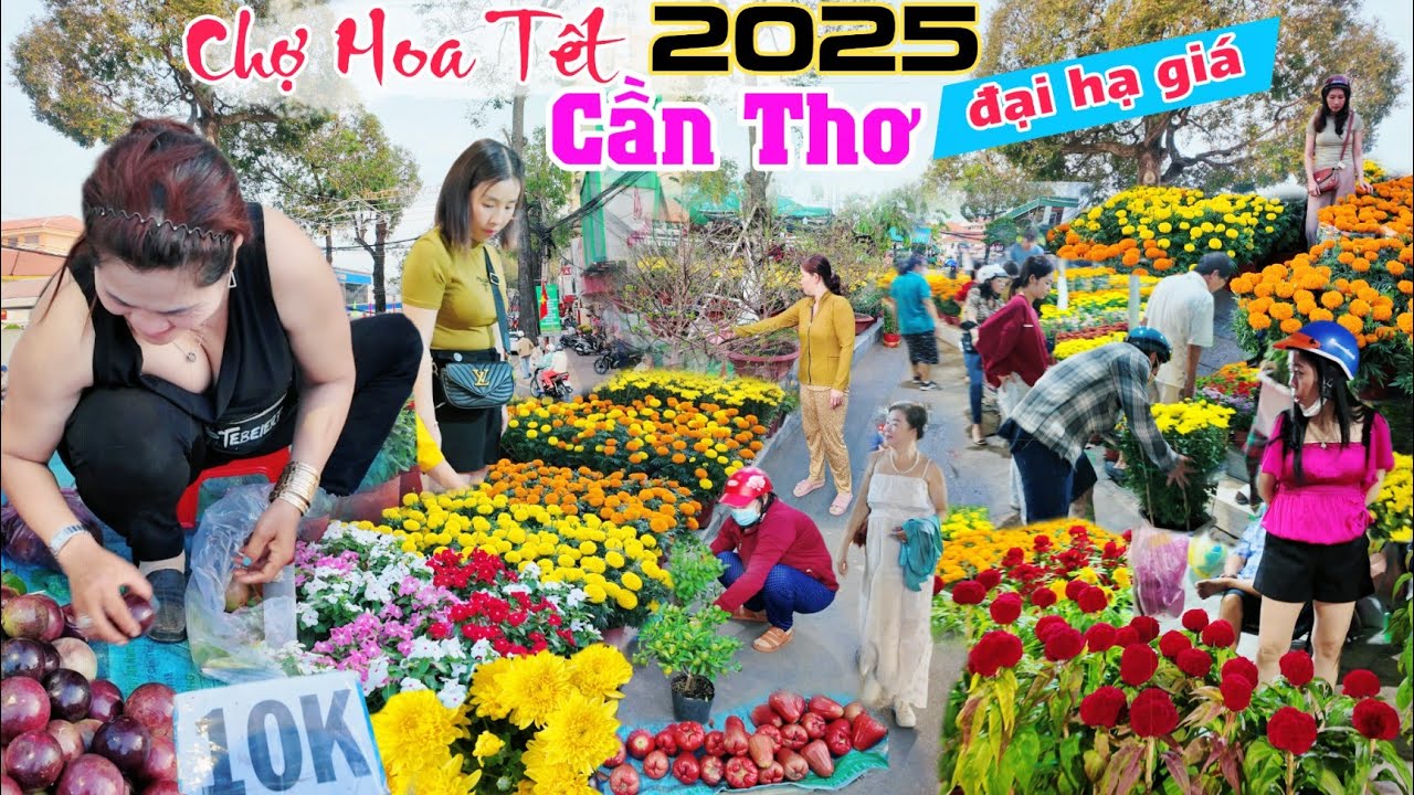 Ế Th&ecirc; Thảm Chợ hoa tết cần thơ 2025 hạ gi&aacute; c&aacute;c loại hoa kiểng m&agrave; vắng b&oacute;ng người mua