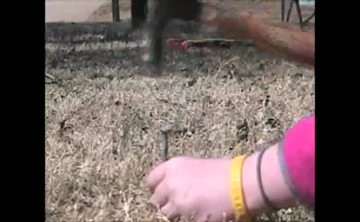 Compilation of Homemade Reversed Videos