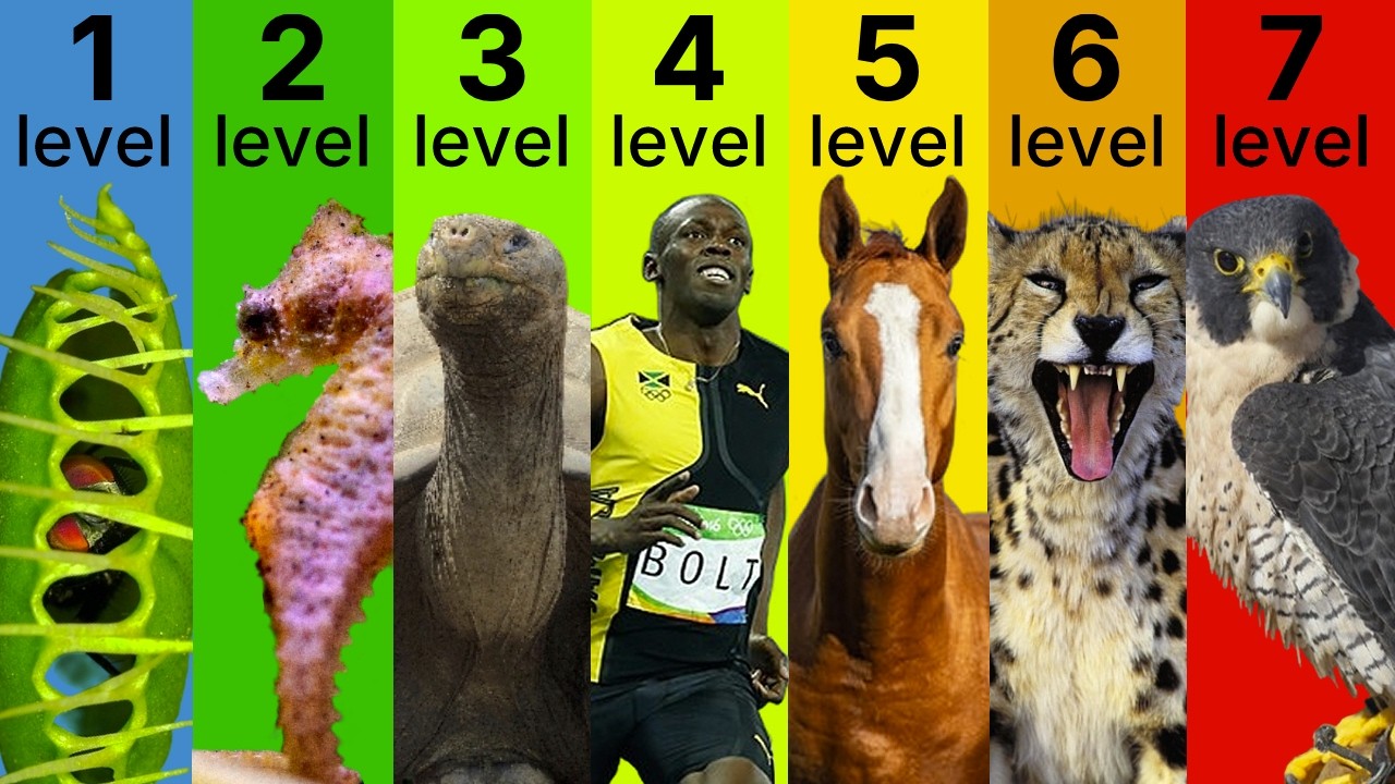 The 7 Levels of Speed in Nature