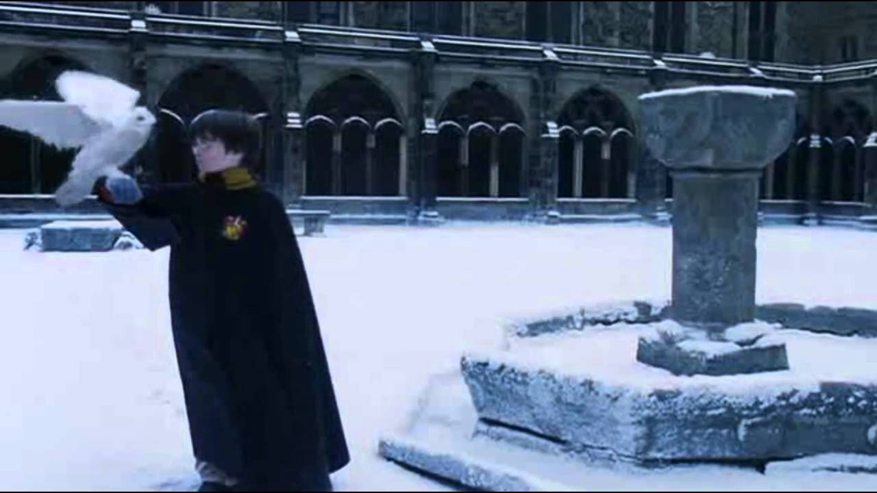 Harry & Lily | In Lily's Arms