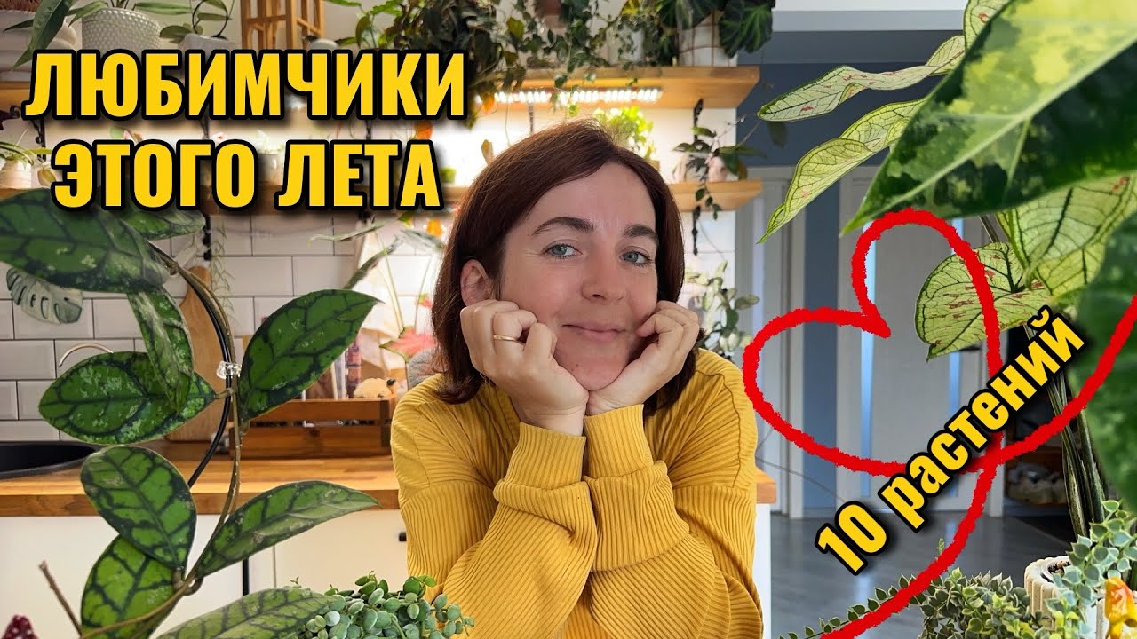 10 любимых растений этого лета❤️ Показываю до/после, рассказываю про уход и содержание. 