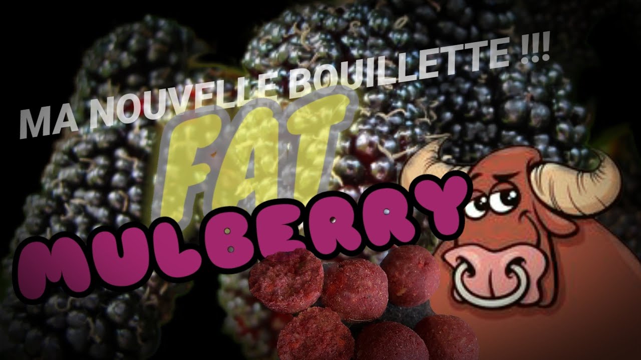 Nouvelle recette de bouillettes, c'est l'hiver, on passe aux hydrates de carbone! ....mais pas que !