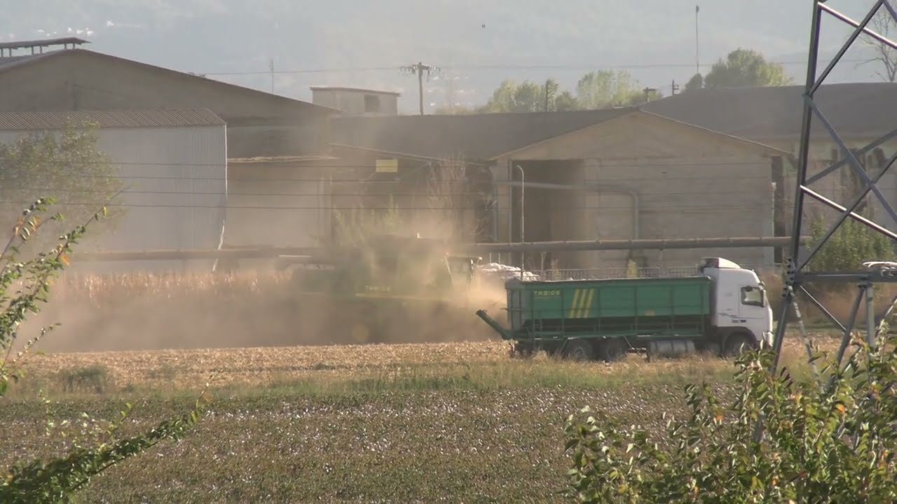 αλωνισμος καλαμποκιου 2025 JOHN DEERE 9680i WTS