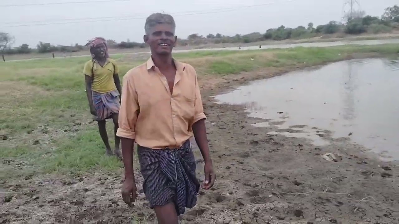 வடகன்ஸ் பிடித்த ஜிலேப்பி மீன்கள் மக்களே 😁🎣🐟