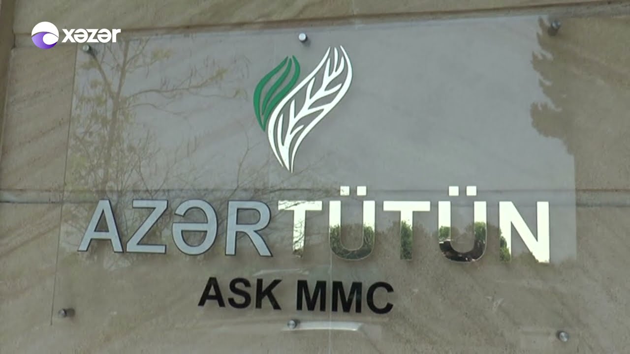 Tütün istehsalı ilə məşğul olan fermerlərin pulu verilmir