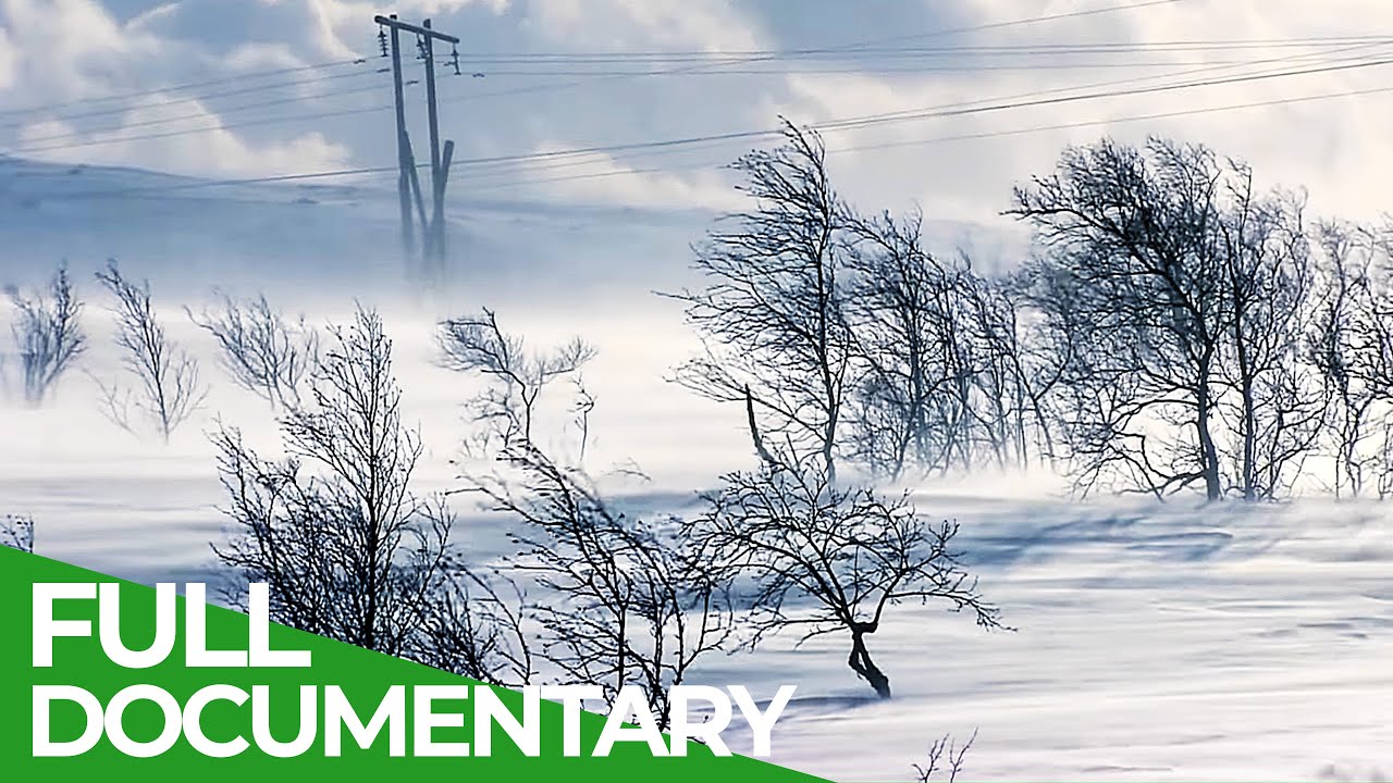 Russia's Icy Northern Sea Coast | Free Documentary Nature