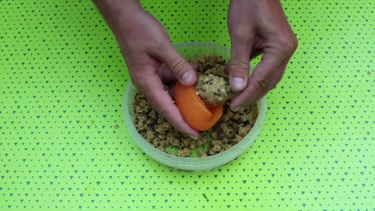 Method feeder : le baby corn vous va si bien...