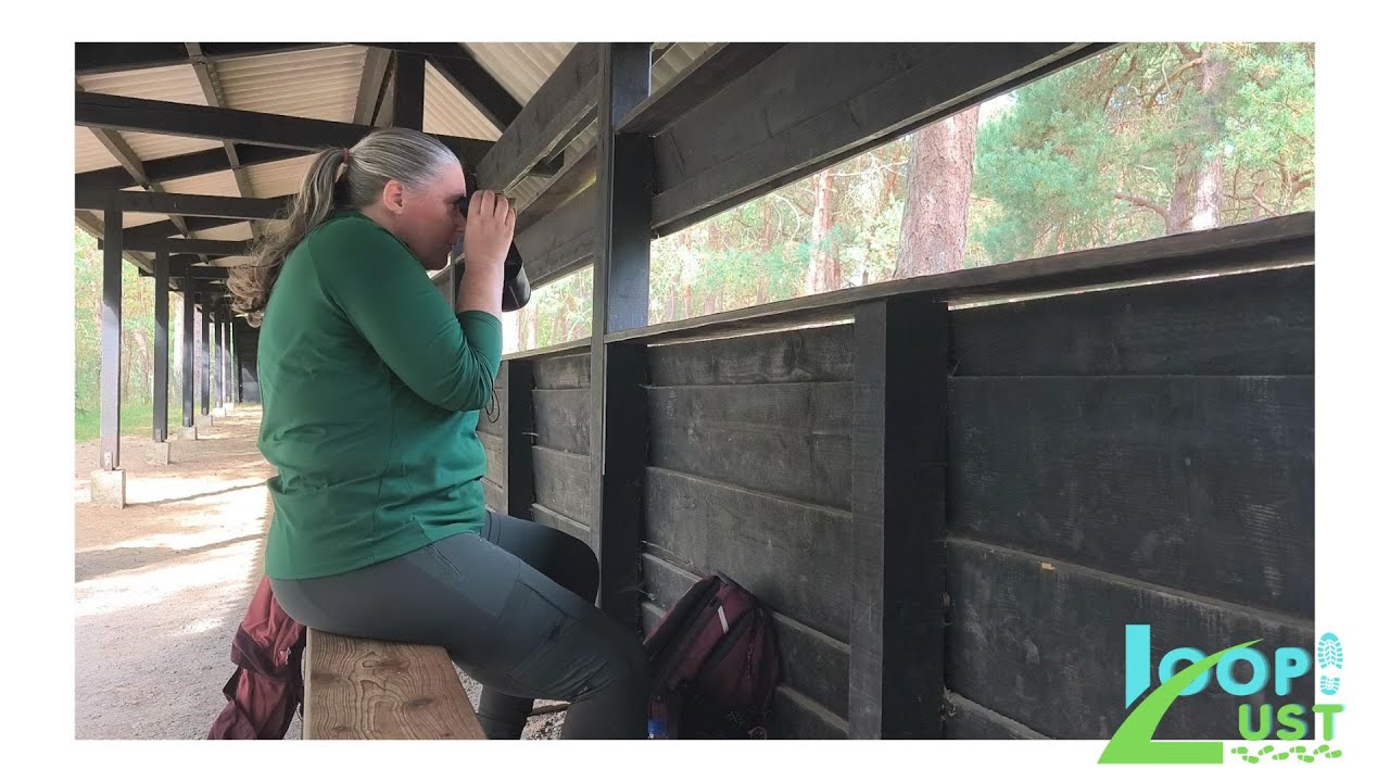 2025, Wandelvideo #9 Gele belevingspad Hoge Veluwe