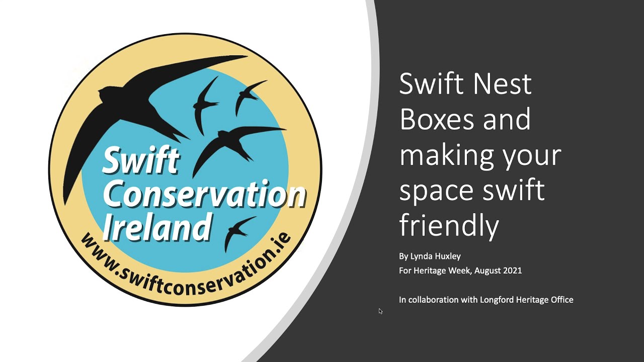 Swift Nest Boxes and making your place swift friendly
