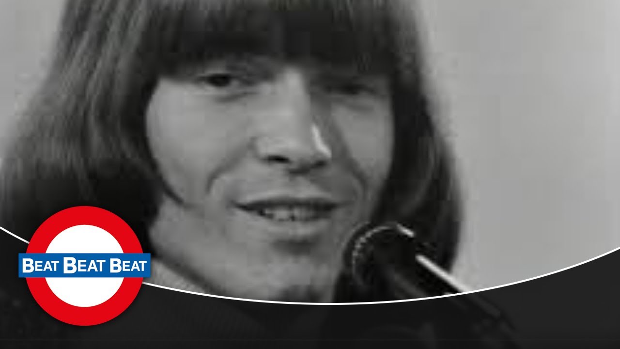 The Hep Stars (feat. Benny Andersson) - Sunny Girl (1966)
