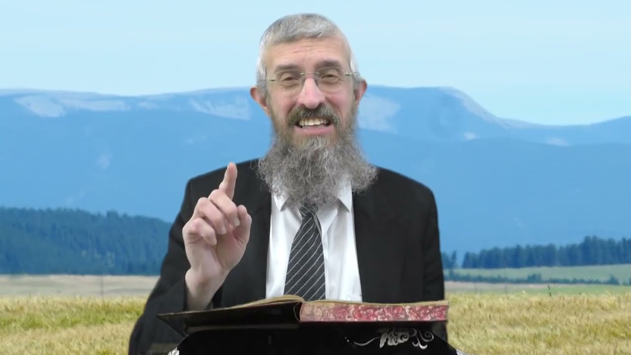 מסכת מנחות דף ה - 8 דקות של לומדות ועמקות בדרך הלימוד הישיבתית [Menachot 5]