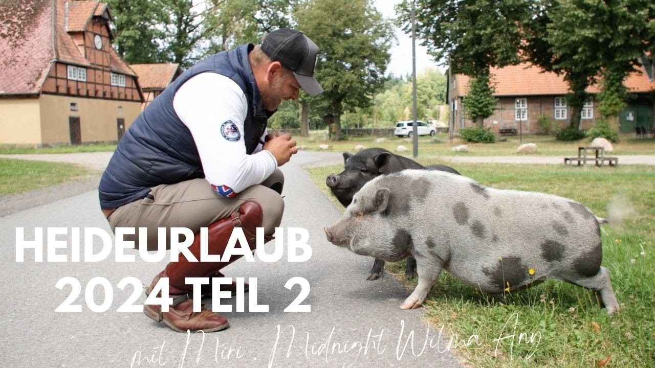 Mit den Pferden in die Heide - Urlaub 2024 Teil 2